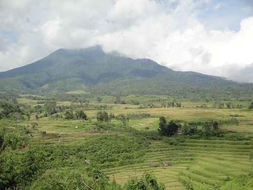 Ruteng & Bajawa