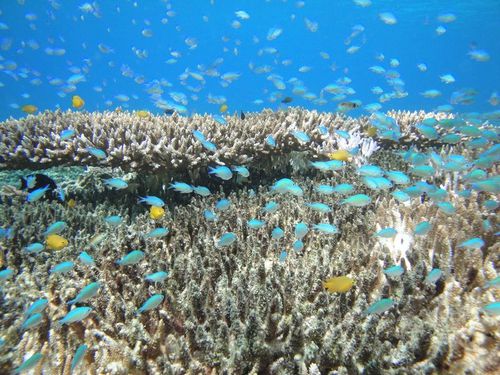 Gili Air & Gili Meno