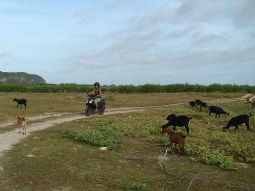 Kuta Lombok