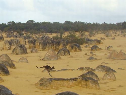 Pinnacles & Kalbarri