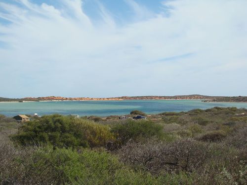 Shark Bay