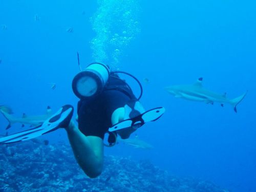 Moorea