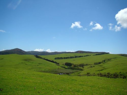Northland