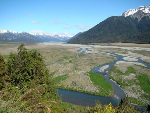 Fox Glacier
