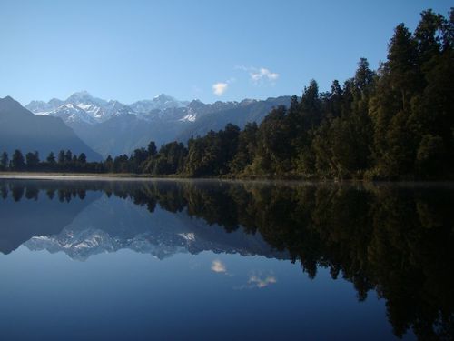 Fox Glacier