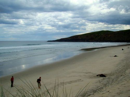 Otago Peninsula