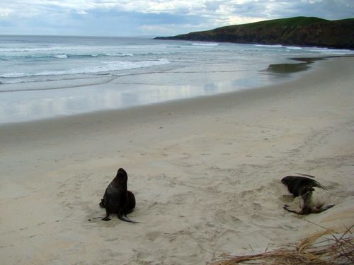 Otago Peninsula