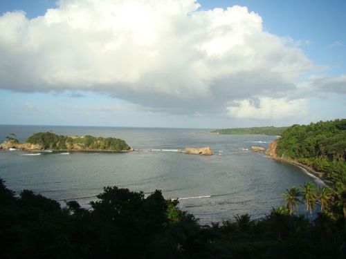 Dominique