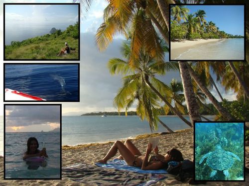 Martinique, intro !