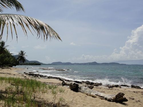 Le Sud Caraïbe