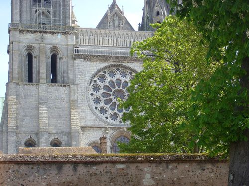 cathedrale4