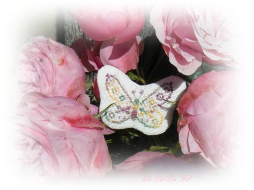 Papillon 3 bis