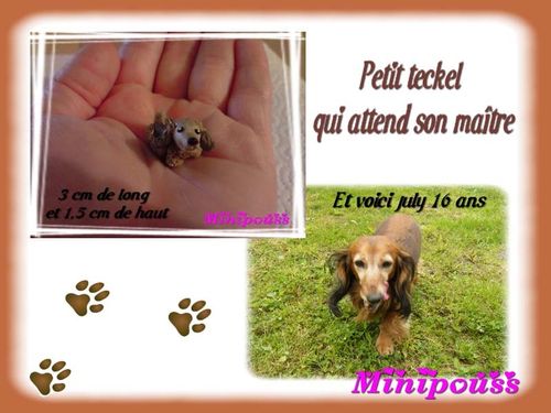 Teckel de CIL