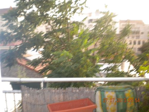DSCN3116