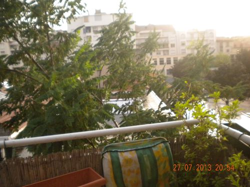 DSCN3118