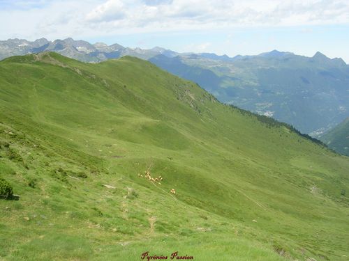 DSCN0357