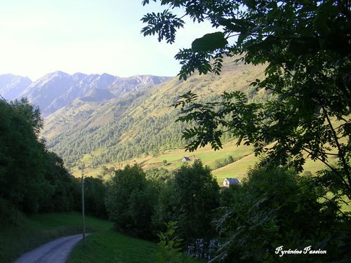 DSCN0912-1