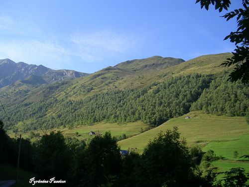 DSCN0913