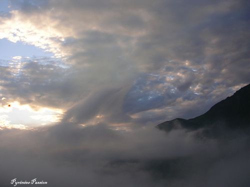DSCN0963