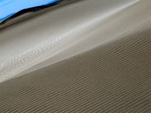 Dune--Espiguette----1.jpg