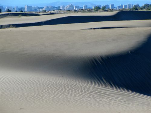 Dune--Espiguette----5.jpg