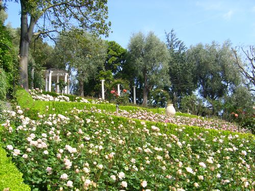 STP61459