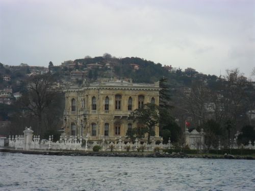 8.JPG