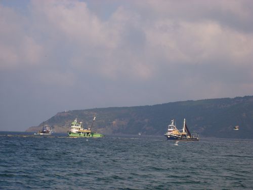 STP60929.JPG
