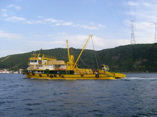 STP64220.JPG