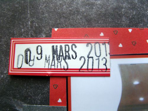 SNV10095