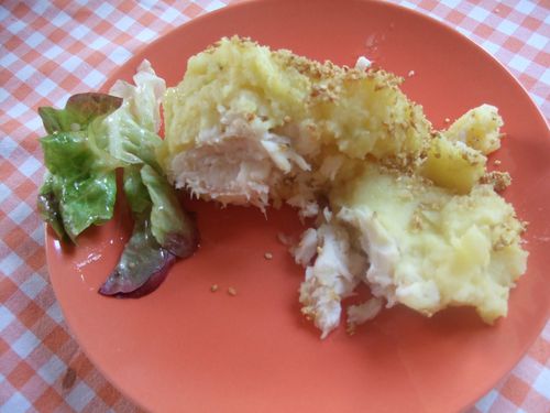 parmentier-de-poisson-005.jpg