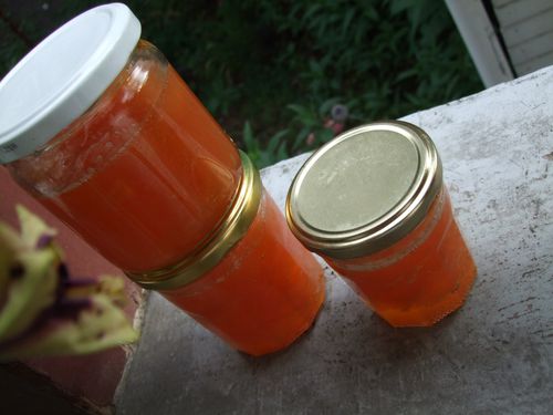 confiture-melon.JPG