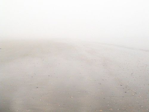 Brouillard-789140-1-.jpg