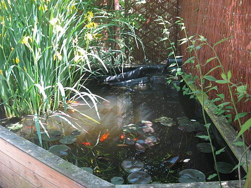 bassin-3-.jpg