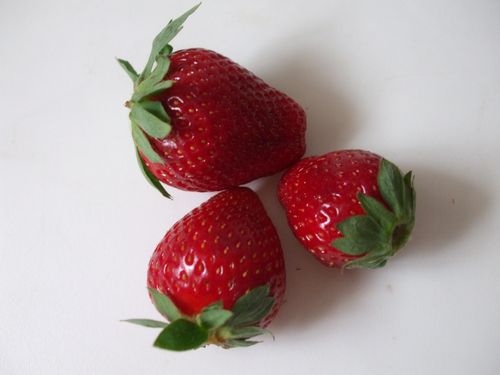 FRESA10.jpg