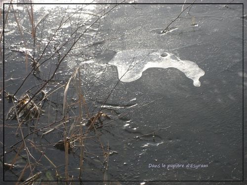 Rieulay-févr.2012(02)