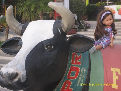 14 VILAMOURA (6)