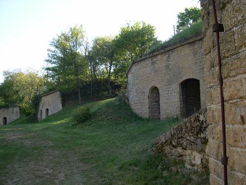 MV-MONTS-OR--90-.JPG