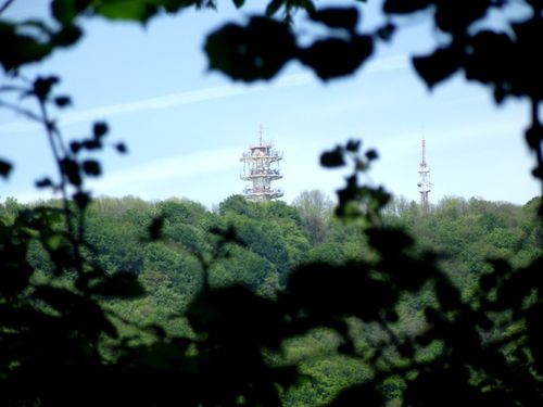 DSCF0449