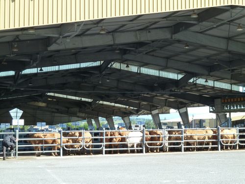 2011-08-20-186.JPG