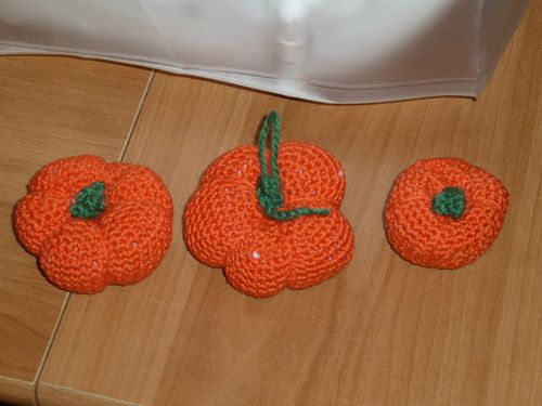 2013-02-02-009.JPG