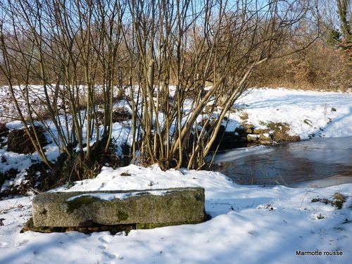 Mon petit banc