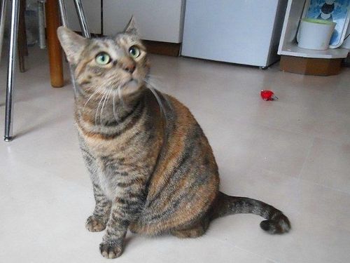 Carla.JPG
