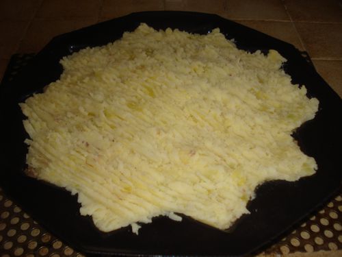 Parmentier de Canard 8