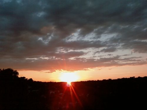 Photo1366