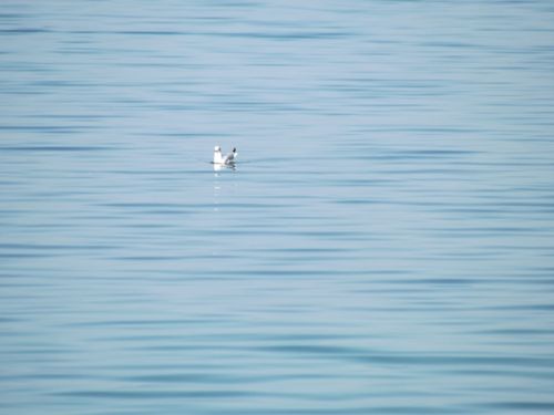 DSCF0389