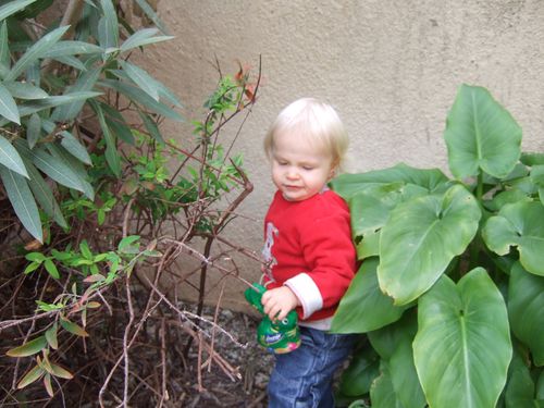 DSCF1254.JPG