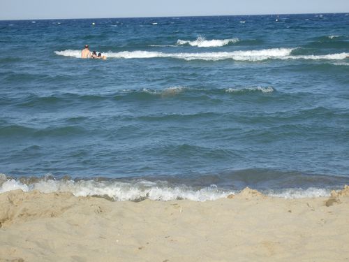 DSCF2551.JPG