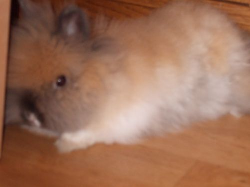 DSCF5253.JPG
