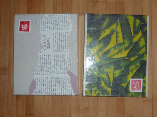 P1200608z
